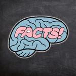 Your Brain on Facts