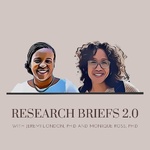 Engineering Education Research Briefs 2.0: Scholars and Scholarship