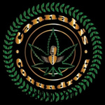 Cannabis Conundrum 