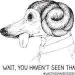 Wait, You Haven't Seen That?!