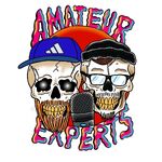 Amateur Experts