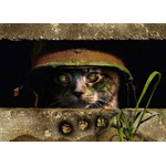 Gaming on the Frontier