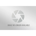 Curtis Gross - REMAX United