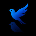 Freedom Pact | Joseph and Lewis