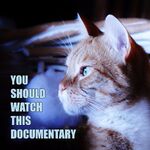 You Should Watch This Documentary