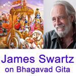 James Swartz - Vedanta Talks on the Bhagavad Gita