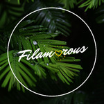 Filamorous Podcast