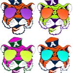 TrackEm Tigers Podcast