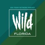Wild Florida