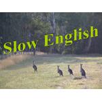 Slow English