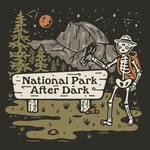 National Park After Dark