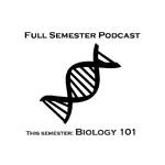 Full Semester Podcast