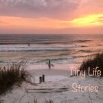 Tiny Life Stories