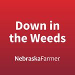 Down in the Weeds