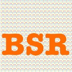 BS Reviews