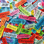 The learning the French language