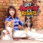 Get Pawsitive Results - Pet Life Radio Original
