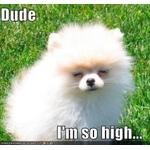 Podcast - Weed and Whiskey