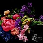 Gathered: Storied Botanicals