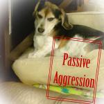 Passive Aggression