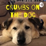 Crumbs on the Dog