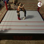 Wrestling and Ramblings
