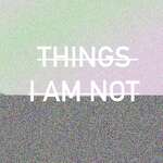 Things I Am Not