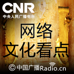 网络文化看点