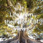 Life from their point of views