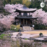 🌸Japon,tanataba🌸