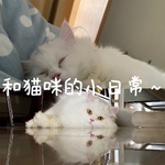 和猫咪的小日常
