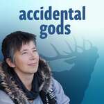 Accidental Gods 