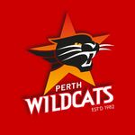 Perth Wildcats