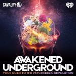 The Awakened Underground