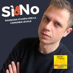 Sì e No - Rassegna Stampa Cannabis