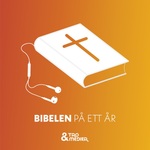 Bibelen på ett år
