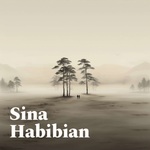 Sina Habibian Podcast