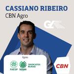 CBN Agro - Cassiano Ribeiro