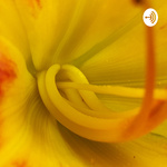 1960s Anti Communist Radio Commercial