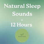 Nature‘s Finest Podcast: White Noise & Sleep Sounds for 12 Hours