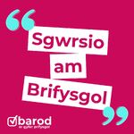 Sgwrsio am Brifysgol