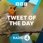 Tweet of the Day