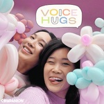 Voice Hugs