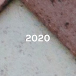 2020: The Election For BS