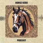 HorseHero Insights: Navigating the Horse Universe