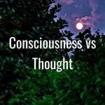 Consciousness vs Thought