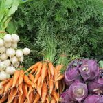 Farm to Fork on WXOJ-LP