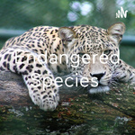 Endangered Species 