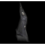 Lisa O'Neill's Documentation Videos