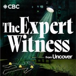 The Expert Witness from Uncover